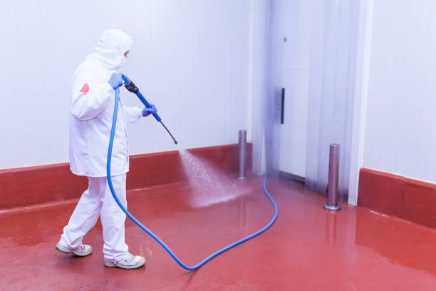 Best Roof Washing  in Irwin, PA